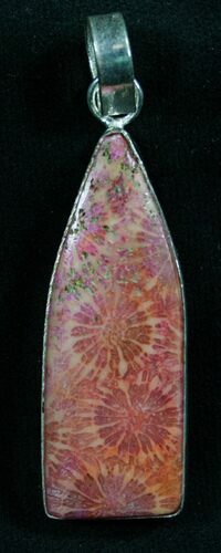 Red Fossil Coral Sunburst Pendant #8265